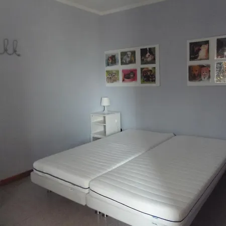 Cre Seren Apartment Susa